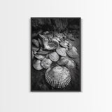Seashell Pile, Textured Beach, Coastal Treasures, Natural Beauty Framed Canvas Print, bathroom decor, shell art, beach wall style