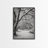 Snowfall Trees, Winter Forest, Nature Pathway, Canvas Print, Holiday Season Decor, Cozy Living Room or Cabin Wall Art