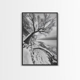Coastal Snow, Barren Tree, Frozen Shoreline, Canvas Print, Serene Winter Decor, Entryway or Hallway Minimalist Wall Art