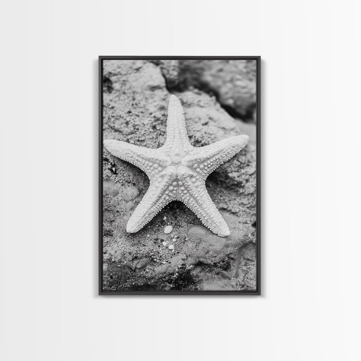 Starfish Closeup, Coastal Shell, Beach Texture, Framed Canvas Print, Bathroom or Ocean Nursery Decor, Minimal Beach Art