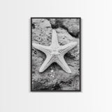Starfish Closeup, Coastal Shell, Beach Texture, Framed Canvas Print, Bathroom or Ocean Nursery Decor, Minimal Beach Art