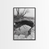 Reflected Trees Pool, Black White Nature, Moody Autumn Wall Art, Rustic Minimalist Style, Framed Canvas Print, Entryway Home Decor