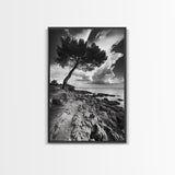 Wind Bent Tree, Coastal Cliff, Solitary Beauty, Canvas Print, Nature Photography Wall Art, Minimalist Earthy Decor, Moody Landscape