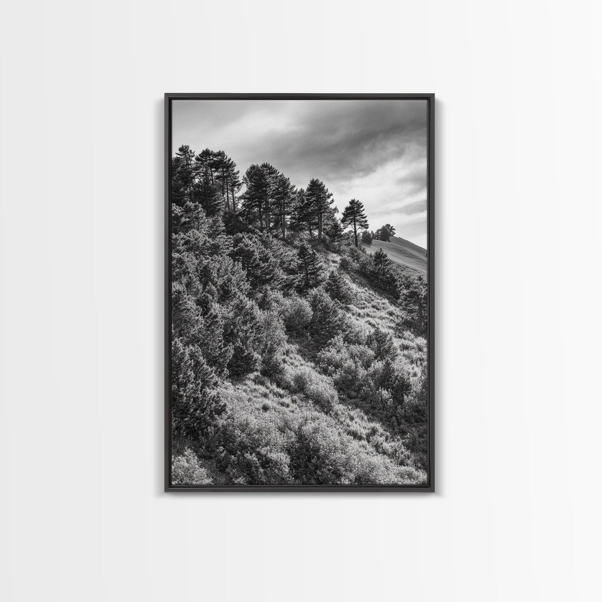 Hillside Forest, Peaceful Pines, Mountain Light, Framed Canvas Print, Nature Wall Art, Cabin Decor, Woodland Landscape Scene