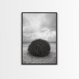 Windswept Beach Nest, Natural Sculpture, Driftwood Ball, Solitude Scene, Canvas Print, Minimalist Wall Art, Neutral Bedroom Decor