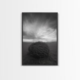 Twilight Field Nest, Tumbleweed Art, Desert Calm, Grassy Plains, Framed Canvas Print, Entryway Wall Art, Boho Nature Landscape