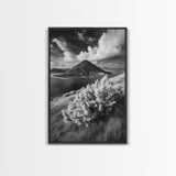 Majestic Volcano, Wild Grass, Black and White, Framed Canvas Print, Nature Photography, Office Decor, Moody Art, Rustic Wall Art