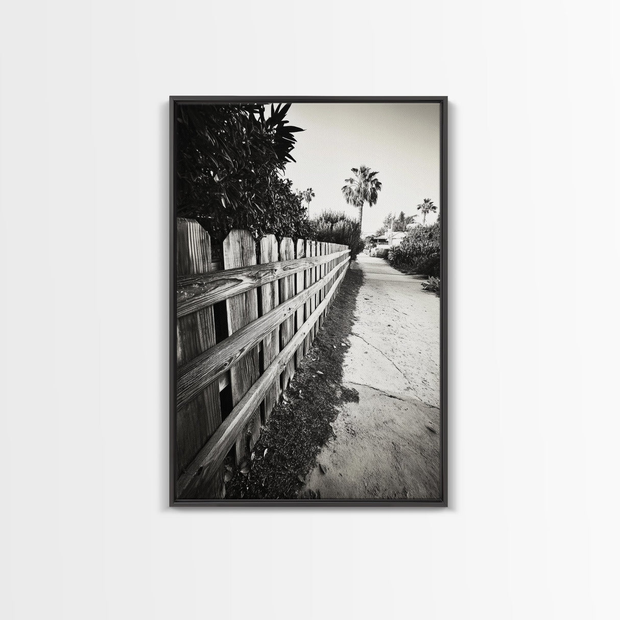 Palm Fence, California Pathway, Suburban Tranquility, Canvas Print, Outdoor Wall Art, Neutral Tones, Modern Minimalist Home Vibe