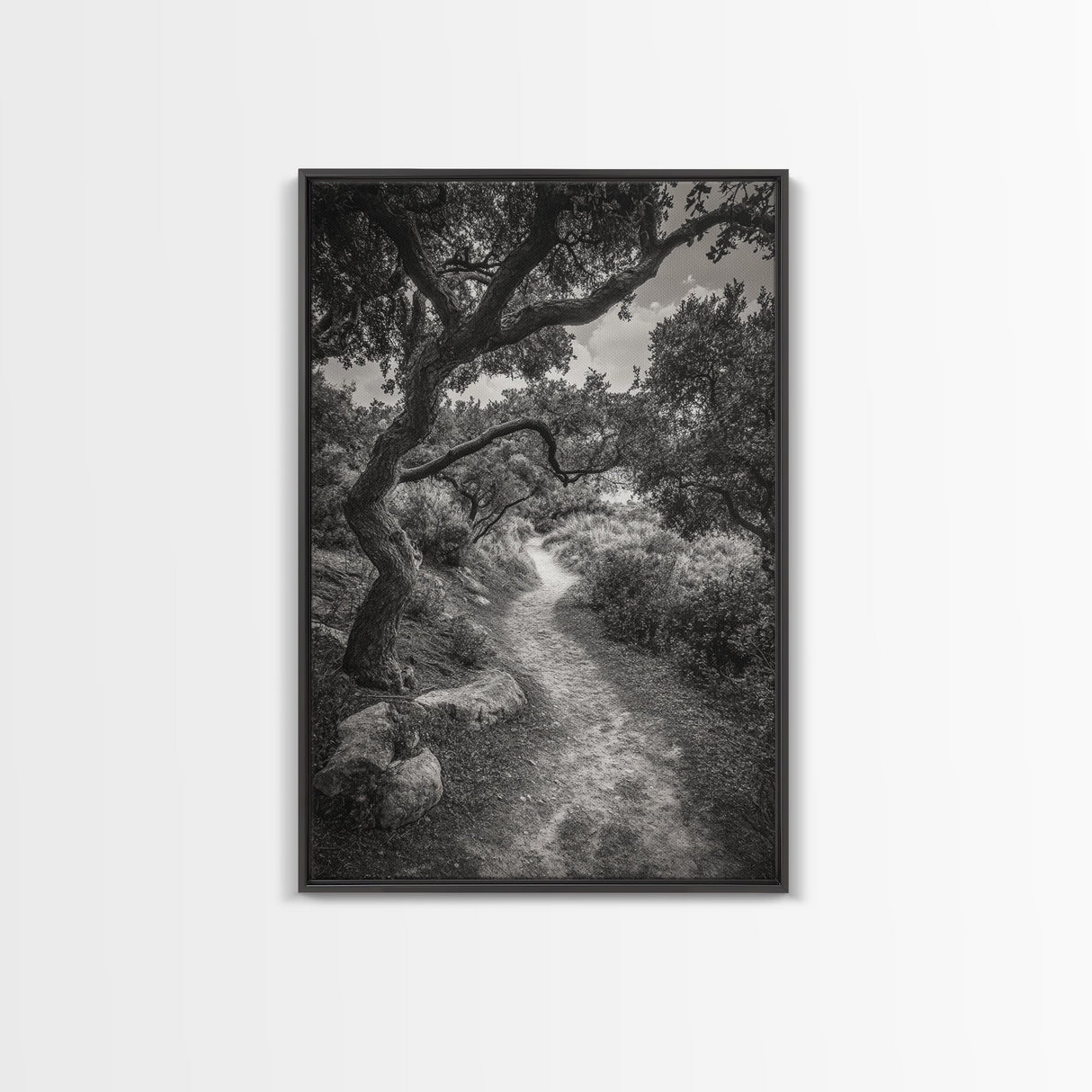 Forest Path, Twisting Trees, Nature Trail Scene, Framed Canvas Print, Earthy Wall Art, Boho Woodland Decor, Entryway or Hallway Accent
