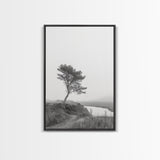 Leaning Tree Path, Soft Fog Scene, Calm Landscape, Canvas Print, Serene Entryway Wall Art, Nature Photography, Minimalist Decor