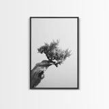 Bonsai Tree, Windswept Wood, Minimal Zen, Canvas Print, Japanese Style Art, Wabi Sabi Decor, Monochrome Botanical Wall Accent