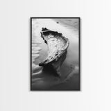 Driftwood Shore, Tidal Beauty, Washed Wood, Canvas Print, Coastal Beach Wall Art, Minimalist Bathroom Decor, Black and White Ocean Scene