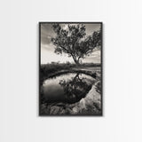 Tree Reflection, Still Water, Peaceful Nature, Framed Canvas Print, Tranquil Wall Art, Rustic Bedroom Decor, Black and White Photography