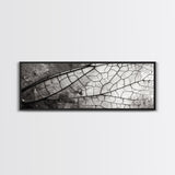 Macro Insect Wing, Abstract Nature Texture, Modern Neutral Wall Decor, Framed Canvas Print, Office Art, Monochrome Macro Photography