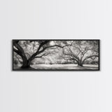 Sprawling Trees, Oak Forest, Sunlit Canopy, Majestic Branches, Canvas Print, Nature Wall Art, Boho Decor, Living Room Statement Piece