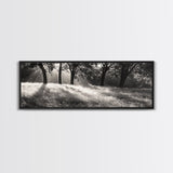 Sunrays Meadow, Tree Light, Golden Hour, Framed Canvas Print, Fall Living Room Art, Rustic Nature Decor, Warm Toned Landscape