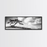Windswept Tree, Coastal Nature, Ocean Cliff View, Framed Canvas Print, Zen Wall Art, Minimalist Decor, Calm Living Room Accent