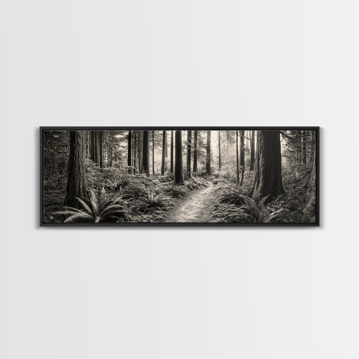 Redwood Forest, Nature Path, Fern Understory, Framed Canvas Print, Moody Nature Photography, Office Wall Art, Forest Bathing Vibes