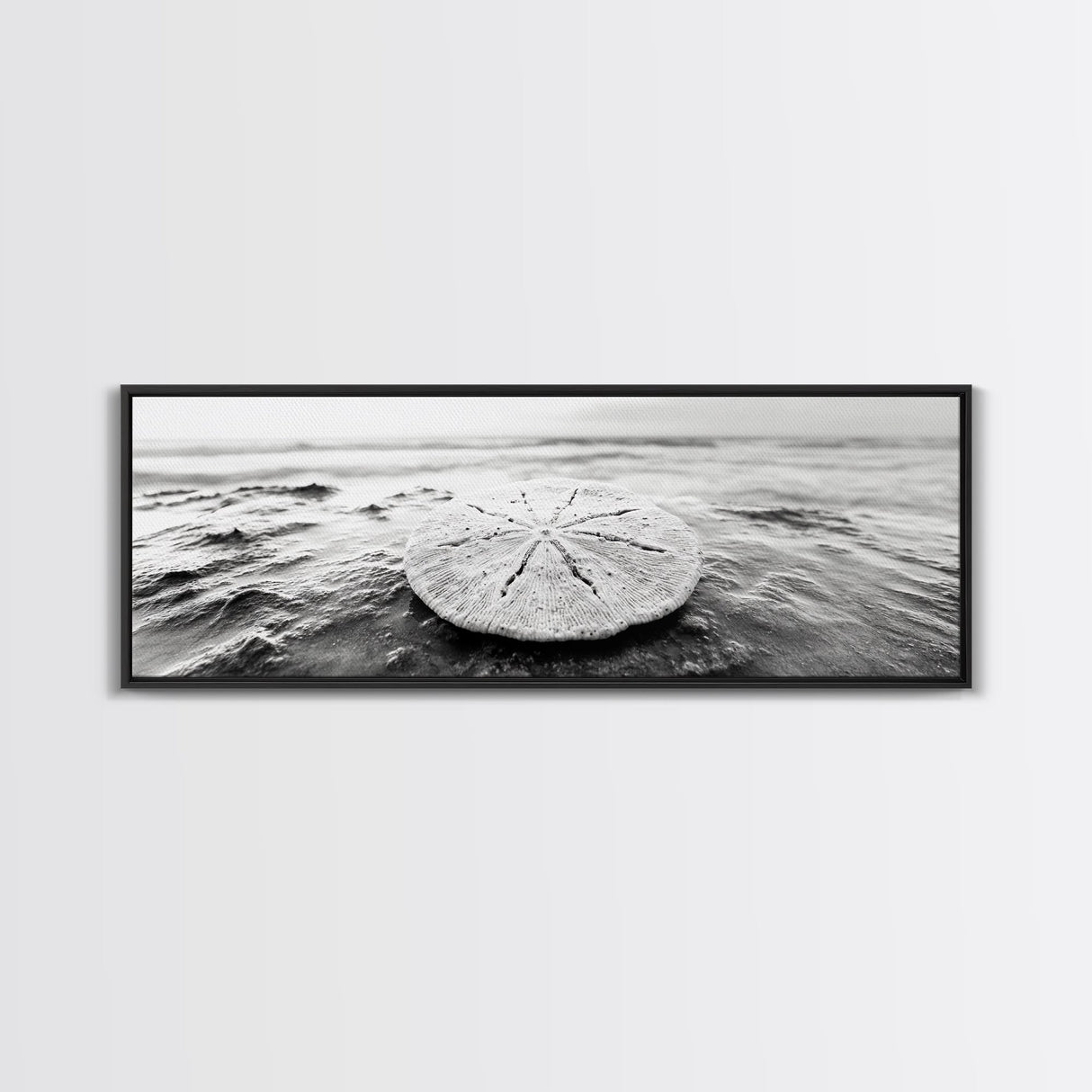 Sand Dollar, Ocean Shore, Calm Waters, Canvas Print, Coastal Wall Art, Minimalist Bathroom Decor, Seashell Beach Photography