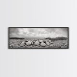 Scallop Shell Cluster, Dune Beach Scene, Canvas Print, Coastal Kitchen Decor, Minimalist Shell Wall Art, Natural Beach Aesthetic