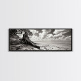 Coastal Tree Roots, Windswept Beach, Natural Form, Framed Canvas Print, Boho Wall Art, Entryway Decor, Beach House Aesthetic