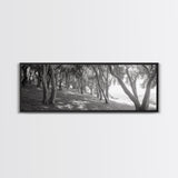 Forest Path, Tree Tunnel, Light Shadows, Woodland Magic, Framed Canvas Print, Nature Lover Gift, Entryway Wall Art, Modern Rustic Style