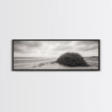 Windswept Dunes, Coastal Brush, Tumbleweed Form, Beach Nature, Framed Canvas Print, Fall Wall Art, Rustic Decor, Neutral Bedroom Style