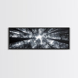 Redwood Trees, Forest Canopy, Looking Upward, Canvas Print, Black and White Nature Art, Meditation Room Decor, Minimalist Wall Art