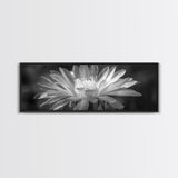 Soft Bloom, Desert Cactus Flower, Close-Up Botanical, Modern Black White Art, Framed Canvas Print, Bathroom Wall Art, Nature Photography