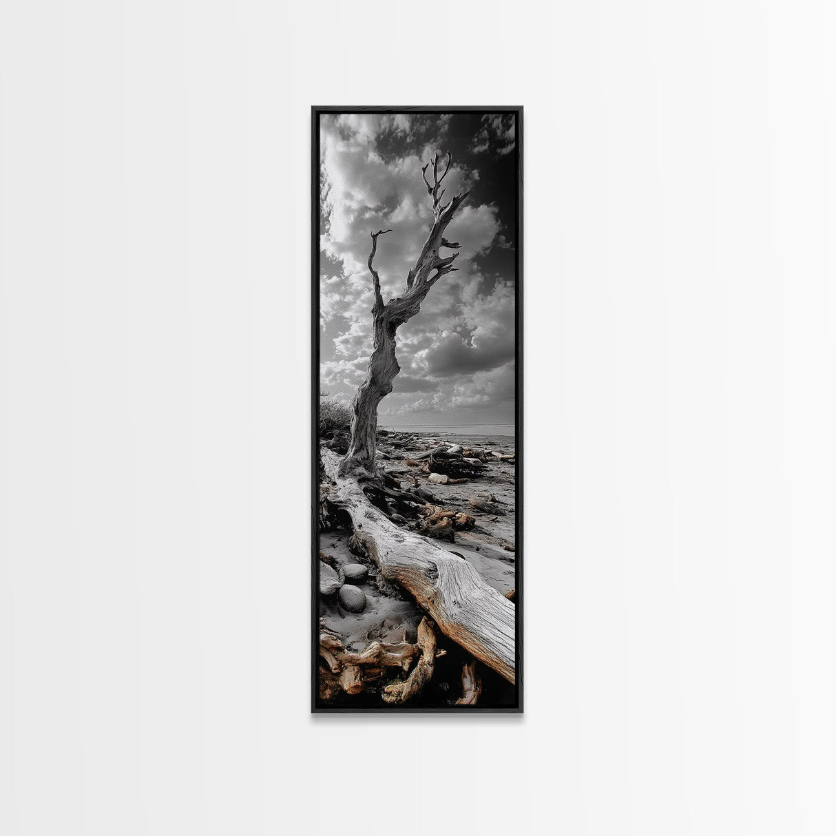 Weathered Tree, Coastal Roots, Dramatic Sky, Natural Form – Canvas Print, Living Room Wall Art, Monochrome Photography, Driftwood Decor