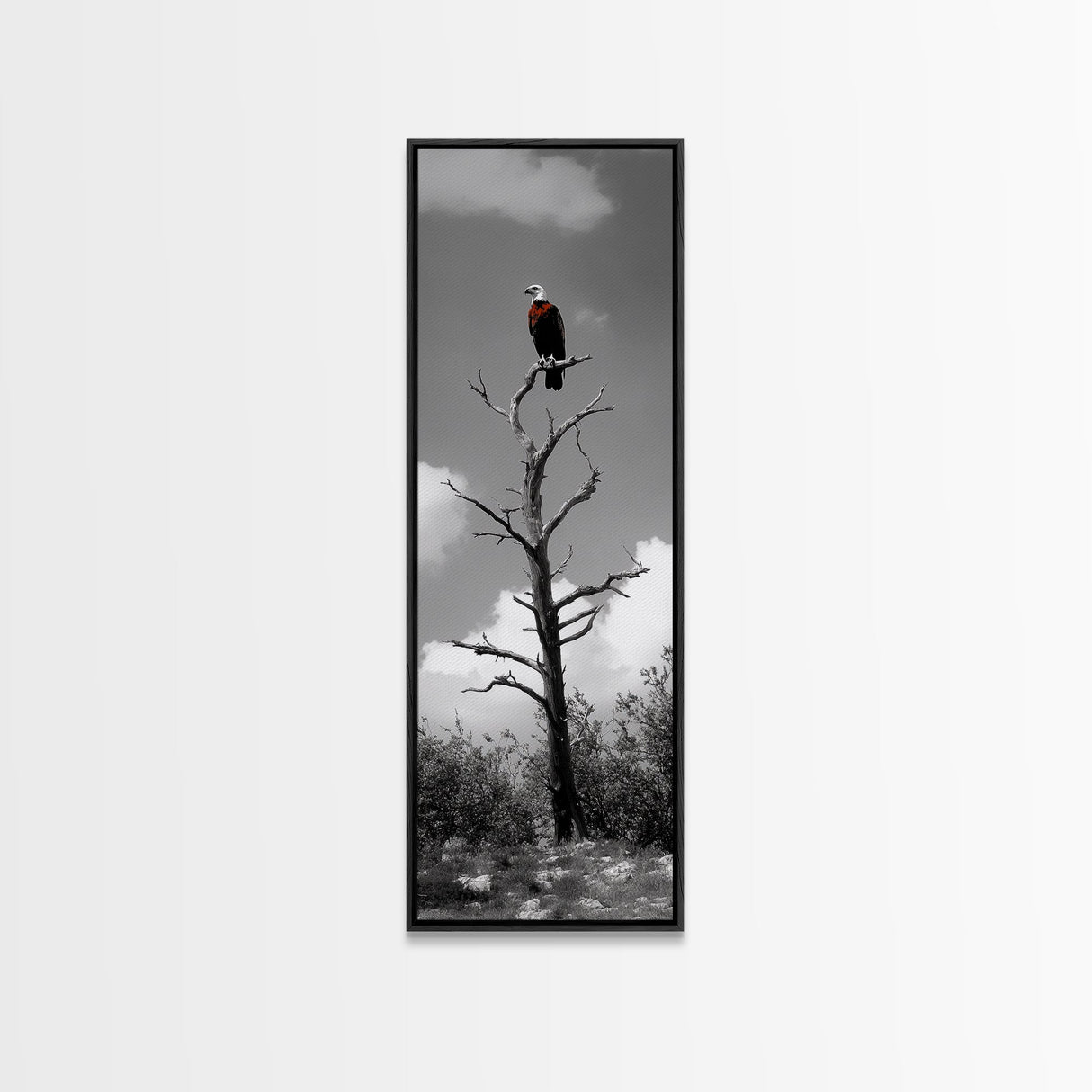 Lone Eagle, Tree Perch, Wild Raptor, Fierce Freedom, Canvas Print, Rustic Wildlife Wall Art, Cabin Lodge Decor, Dramatic Nature Scene