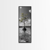 Mangrove Tree, Reflected Roots, Tranquil Nature, Coastal Zen Framed Canvas Print, tropical minimalist wall art, spa room decor