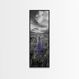 Blue Lupine, Wildflower Meadow, Cloudy Sky, Spring Bloom Framed Canvas Print, floral nature art, botanical hallway wall decor