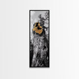 Tree Hollow, Forest Texture, Nature Decay, Golden Bark, Framed Canvas Print, Rustic Wall Art, Cabin Living Room Art, Woodland Decor
