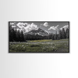 Mountain, Meadow, Wildflowers, Alpine meadow bloom and majestic peak on this Framed Canvas Print, serene Nature Wall Art for Entryway