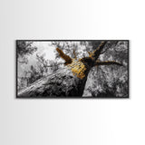 Golden Tree, Nature Upward, Woodland Strength, Forest Energy, Framed Canvas Print, Autumn Wall Art, Minimalist Tree Decor, Nature Print