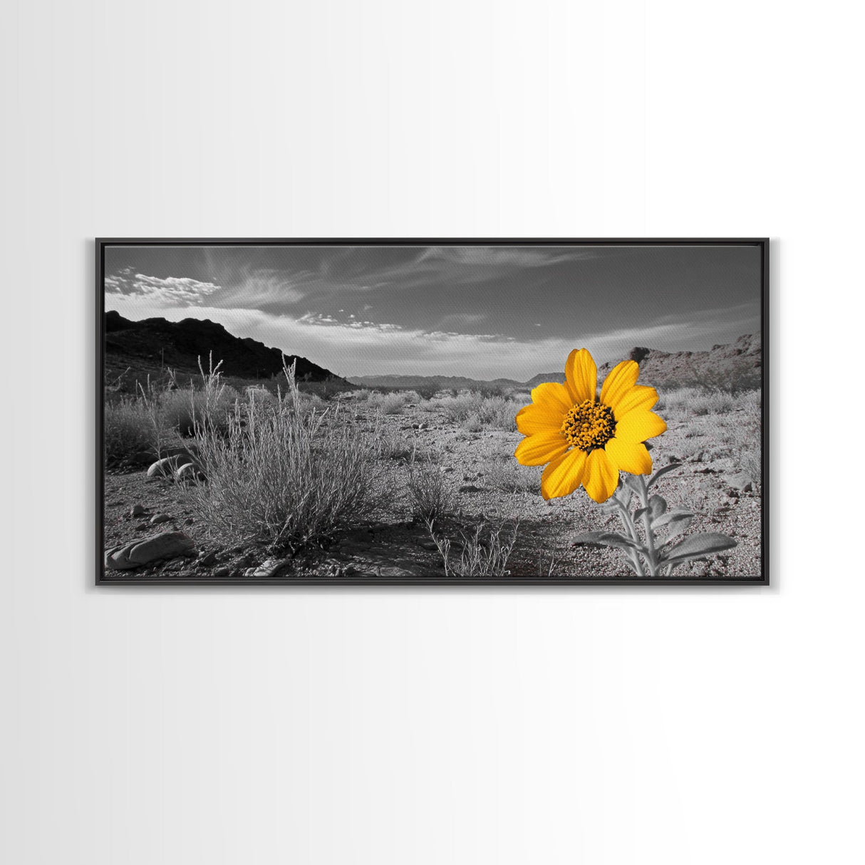 Yellow Flower, Desert Bloom, Monochrome Landscape, Canvas Print, Botanical Wall Art, Minimalist Nature Decor, Modern Kitchen Accent