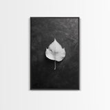Monochrome Leaf, Nature Minimal, Still Life, Moody Art, Framed Canvas Print, Fall Wall Art, Kitchen Decor, Neutral Modern Aesthetic
