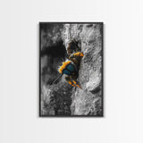 Fuzzy Bee Closeup, Insect Macro, Nature Texture, Framed Canvas Print, Wildlife Wall Art, Entomology Decor, Nature Photography