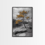 Golden Tree View, Nature Serenity, Fall Lake Art, Peaceful Pine, Framed Canvas Print, living room wall art, minimalist landscape print