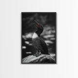 Loon Call, Singing Bird, Red Beak, Monochrome Framed Canvas Print, Wildlife Wall Decor, Bird Lover Wall Art, Rustic Cabin Accent