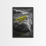 Mossy Stone Closeup, Earthy Nature Texture, Minimal Landscape Print, Framed Canvas Print, Modern Office Wall Decor, Zen Rock Art