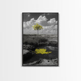 Solitary Tree, Desert Reflection, Yellow Leaves, Framed Canvas Print, Minimalist Wall Art, Bedroom Decor, Nature Fine Art Landscape