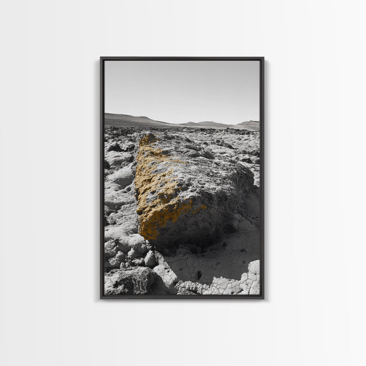 Yellow Lichen Rock, Monochrome Landscape, Desert Texture, Canvas Print, Rustic Wall Art, Minimalist Decor, Entryway or Office Art