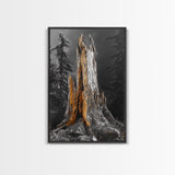 Forest Stump, Enchanted Tree, Woodland Nature, Autumn Mood, Framed Canvas Print, Rustic Wall Art, Cabin Decor, Fall Wall Accent