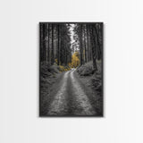 Forest Path, Yellow Trees, Autumn Trail, Framed Canvas Print, Fall Wall Art, Woodland Nature Decor, Cozy Home Accent, Entryway Artwork