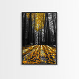 Golden Forest Light, Fall Leaves, Tall Trees Shadows, Tranquil Scene, Framed Canvas Print, Autumn Wall Art, Boho Living Room Decor