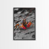 Colorful Lobster, Beach Wildlife, Close-Up Macro Art, Framed Canvas Print, Kitchen Wall Art, Coastal Marine Decor, Vibrant Style