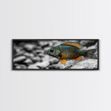 Colorful Fish Closeup, Underwater Art, Nature Photography, Canvas Print, Coastal Bathroom Decor, Vibrant Marine Life Wall Art