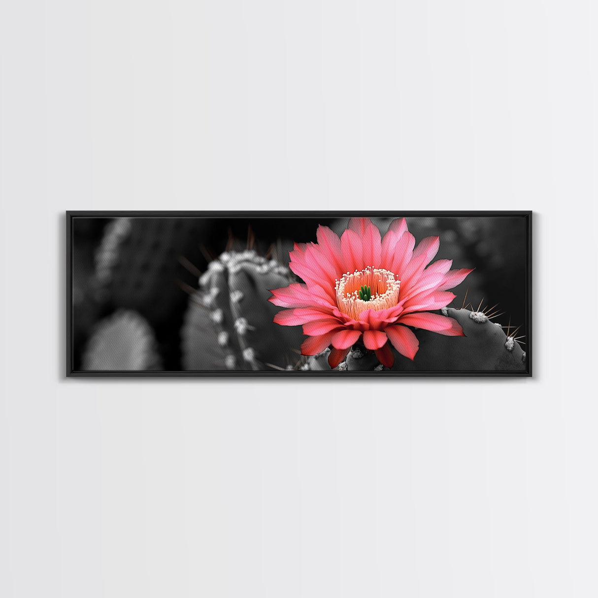 Desert Bloom, Cactus Flower, Vibrant Petals, Nature Beauty, Framed Canvas Print, Boho Wall Art, Living Room Decor, Pink Flower Photography